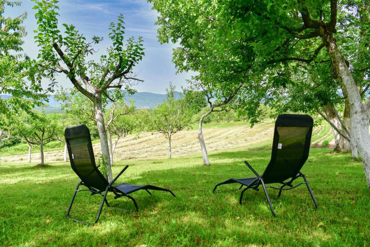 Apartman Plum Plitvice Dreznik Grad Luaran gambar