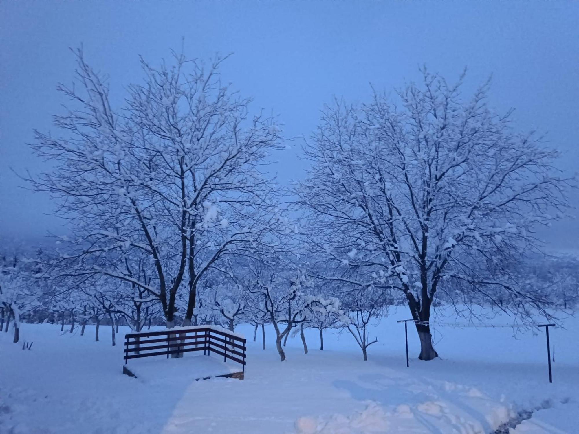 Apartman Plum Plitvice Dreznik Grad Luaran gambar
